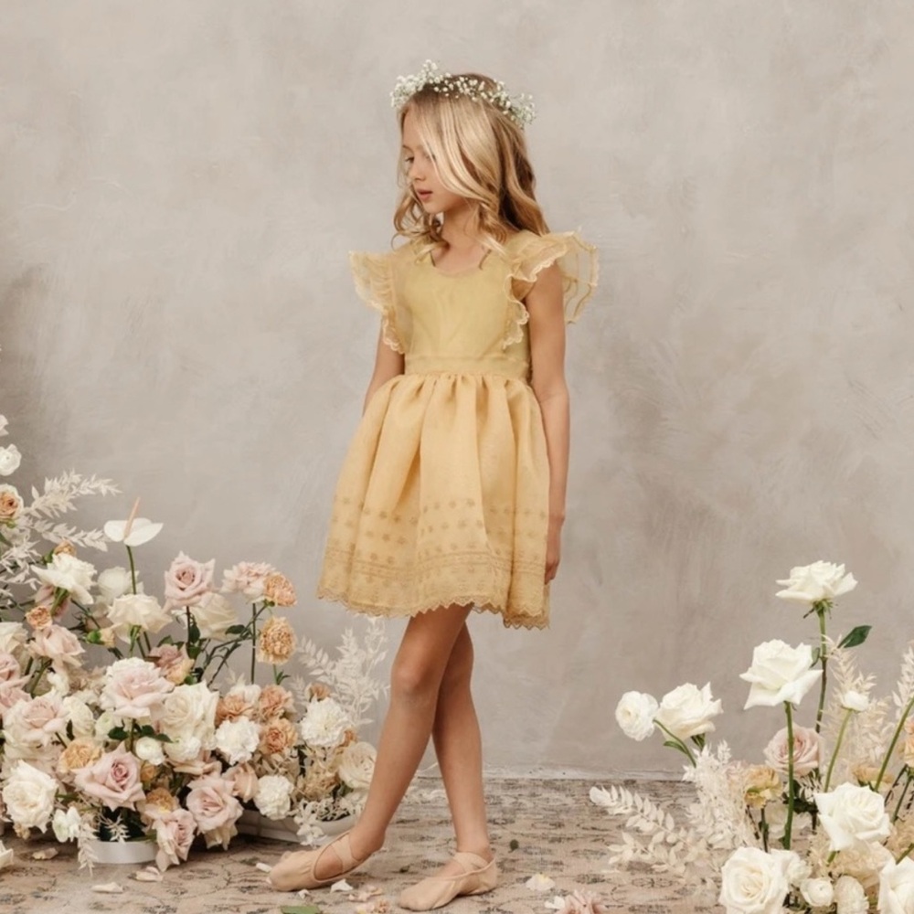 Noralee Provence Dress Citron